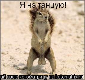 Котоматрица: Я нэ танцую!