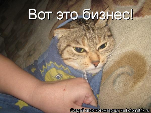Котоматрица: Вот это бизнес!