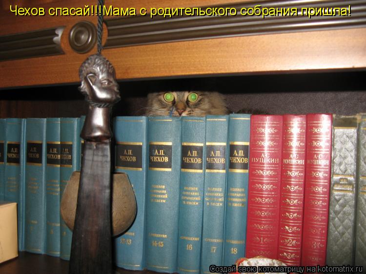 Котоматрица: Чехов спасай!!!Мама с родительского собрания пришла!