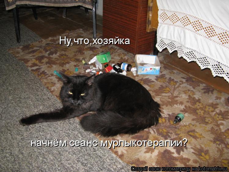 Котоматрица: Ну,что,хозяйка начнём сеанс мурлыкотерапии?