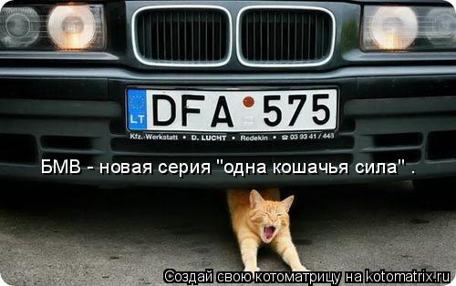 Котоматрица: БМВ - новая серия "одна кошачья сила" .