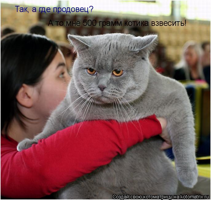 Котоматрица: Так, а где продовец? А то мне 500 грамм котика взвесить!