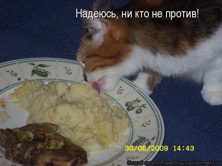 Котоматрица: Надеюсь, ни кто не против!