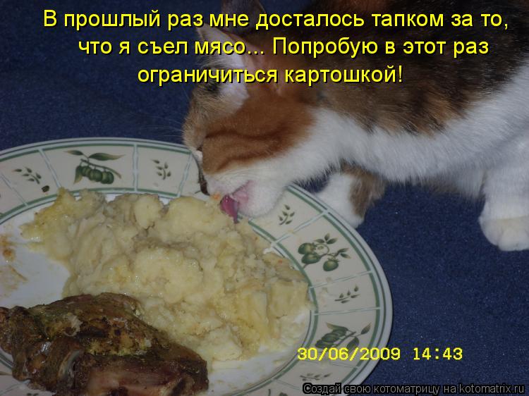 Котоматрица: В прошлый раз мне досталось тапком за то, что я съел мясо... Попробую в этот раз ограничиться картошкой!