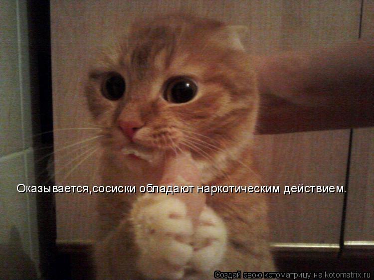 Котоматрица: Оказывается,сосиски обладают наркотическим действием.
