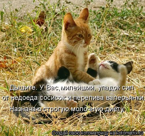 Котоматрица: Дышите. У Вас,милейший, упадок сил  от недоеда сосисок и перепива валерьянки. Назначаю строгую молочную диету.