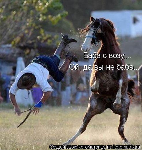 Баба с возу.... Ой, да вы не баба...... Котоматрица: Баба с возу.... Ой, да вы не баба...