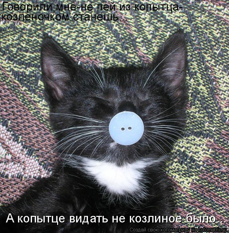 Котоматрица: Говорили мне-не пей из копытца- козленочком станешь... А копытце видать не козлиное было...