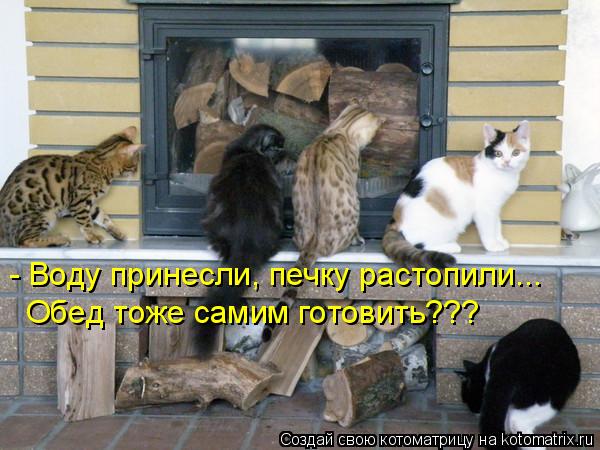 Котоматрица: - Воду принесли, печку растопили... Обед тоже самим готовить???