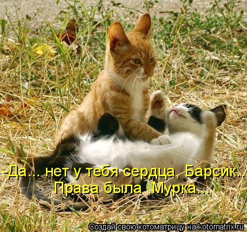 Котоматрица: -Да... нет у тебя сердца, Барсик... Права была  Мурка...
