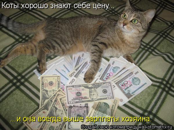 Котоматрица: Коты хорошо знают себе цену... ...и она всегда выше зарплаты хозяина.