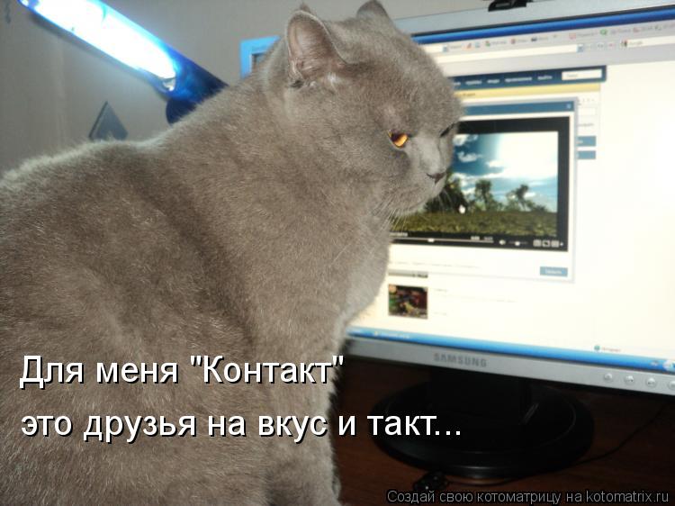 Котоматрица: Для меня "Контакт" это друзья на вкус и такт...