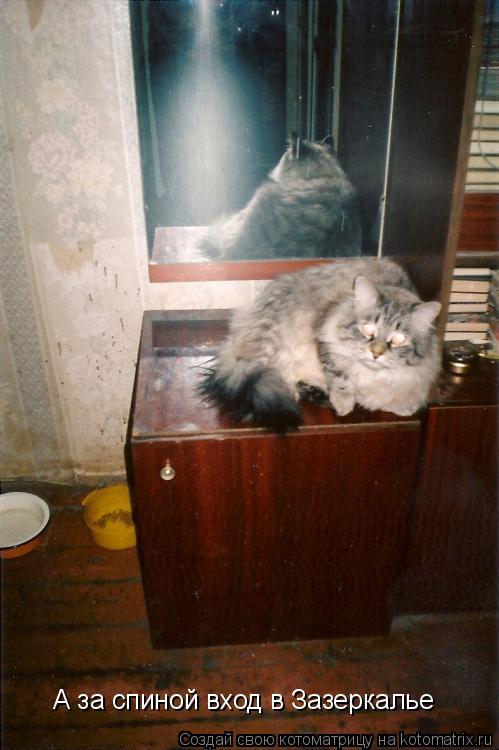 Котоматрица: А за спиной вход в Зазеркалье