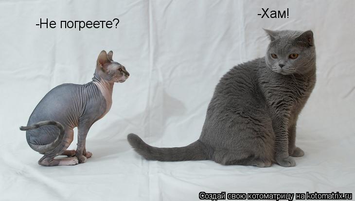 Котоматрица: -Не погреете? -Хам!