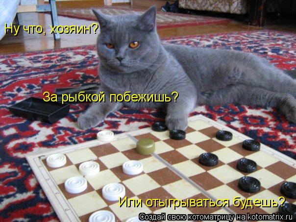 Котоматрица: Ну что, хозяин? За рыбкой побежишь?  Или отыгрываться будешь?