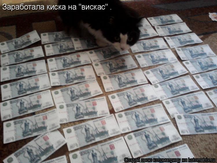 Котоматрица: Заработала киска на "вискас" .