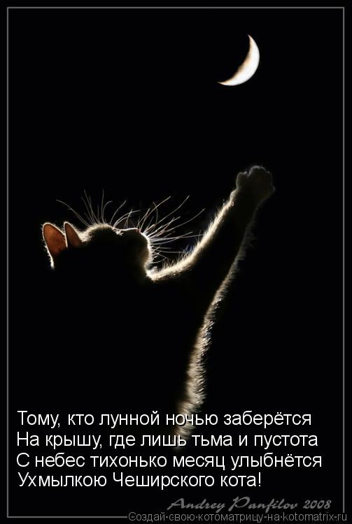 Тому, кто лунной ночью заберётся На крышу, где лишь тьма и пустота С небес тихонько месяц улыбнётся... Котоматрица: Тому, кто лунной ночью заберётся На крышу, где лишь тьма и пустота С небес тихонько месяц улыбнётся Ухмылкою Чеширского кота!