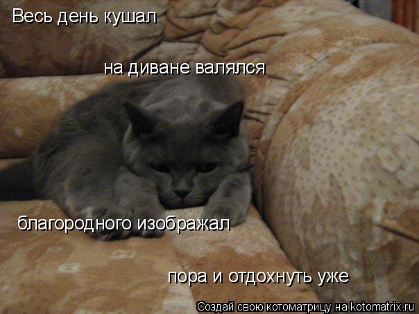 Котоматрица: Весь день кушал на диване валялся благородного изображал пора и отдохнуть уже