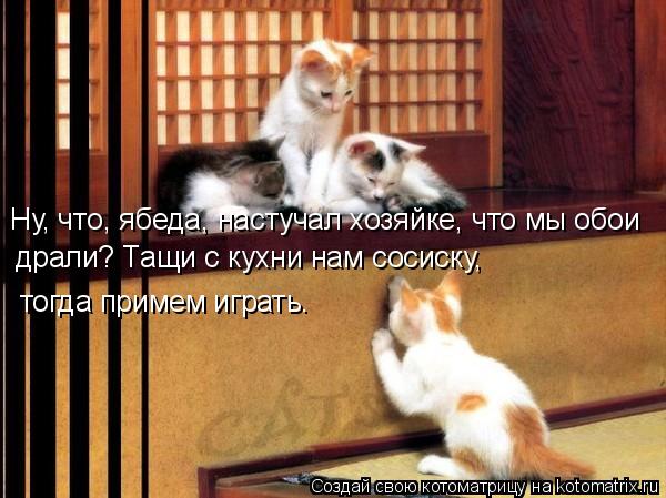 Котоматрица: Ну, что, ябеда, настучал хозяйке, что мы обои драли? Тащи с кухни нам сосиску,  тогда примем играть.