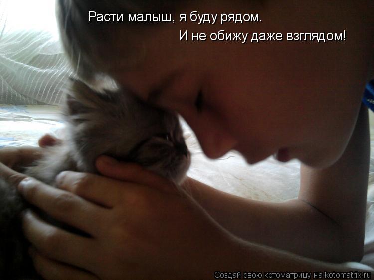 Котоматрица: И не обижу даже взглядом! Расти малыш, я буду рядом.