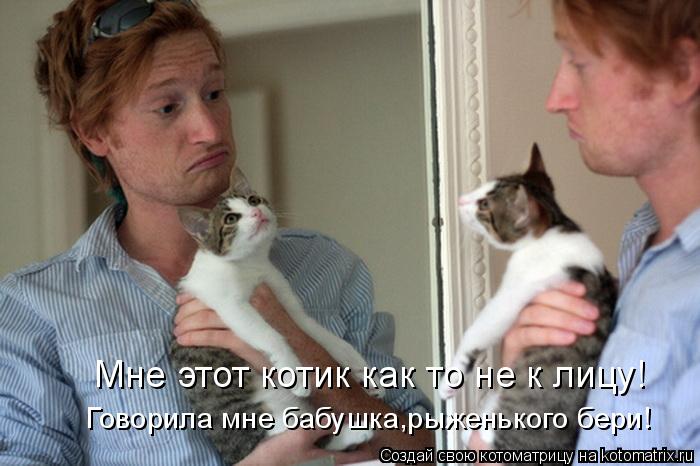 Котоматрица: Мне этот котик как то не к лицу! Говорила мне бабушка,рыженького бери!