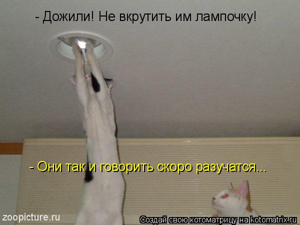 Котоматрица: - Дожили! Не вкрутить им лампочку! - Они так и говорить скоро разучатся...