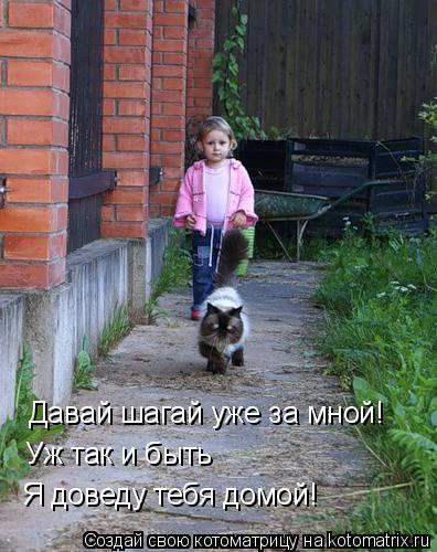 Котоматрица: Давай шагай уже за мной! Уж так и быть Я доведу тебя домой!