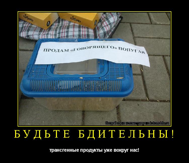 Котоматрица: будьте бдительны! трансгенные продукты уже вокруг нас!