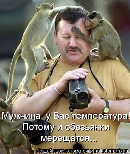 Мужчина, у Вас температура! Потому и обезьянки мерещатся...... Котоматрица: Мужчина, у Вас температура! Потому и обезьянки мерещатся...
