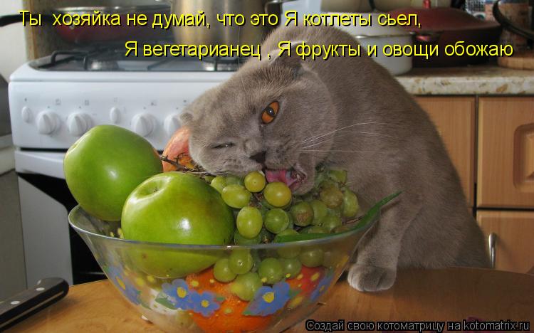 Котоматрица: Ты  хозяйка не думай, что это Я котлеты сьел, Я вегетарианец , Я фрукты и овощи обожаю