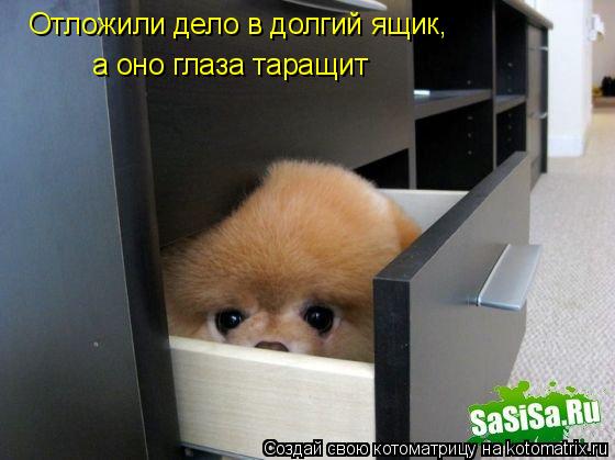 Отложили дело в долгий ящик, а оно глаза таращит... Котоматрица: Отложили дело в долгий ящик, а оно глаза таращит