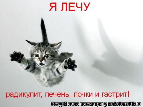 Я ЛЕЧУ радикулит, печень, почки и гастрит!... Котоматрица: Я ЛЕЧУ радикулит, печень, почки и гастрит!
