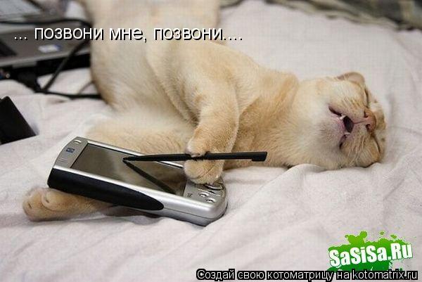 ... позвони мне, позвони....... Котоматрица: ... позвони мне, позвони....