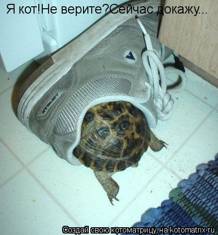 Я кот!Не верите?Сейчас докажу...... Котоматрица: Я кот!Не верите?Сейчас докажу...
