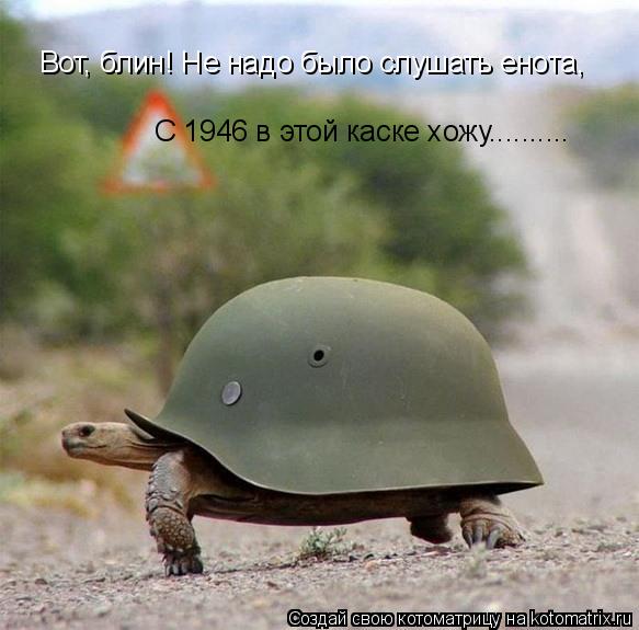 Вот, блин! Не надо было слушать енота, С 1946 в этой каске хожу............. Котоматрица: Вот, блин! Не надо было слушать енота, С 1946 в этой каске хожу..........
