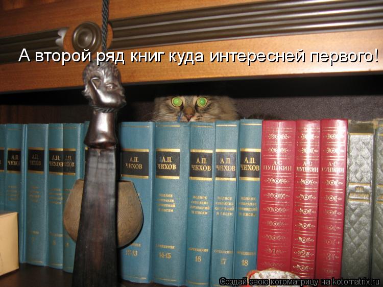 Котоматрица: А второй ряд книг куда интересней первого!