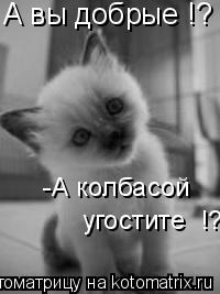 Котоматрица: А вы добрые !? -А колбасой  угостите  !?