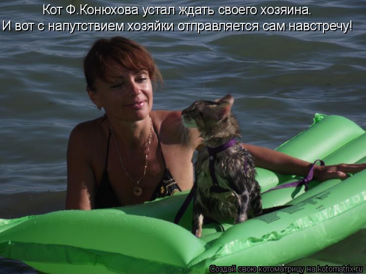 Котоматрица: Кот Ф.Конюхова устал ждать своего хозяина. И вот с напутствием хозяйки отправляется сам навстречу!