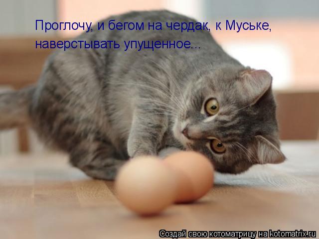 Котоматрица: Проглочу, и бегом на чердак, к Муське,  наверстывать упущенное...