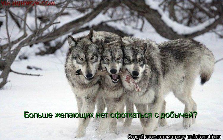 Котоматрица: Больше желающих нет сфоткаться с добычей?