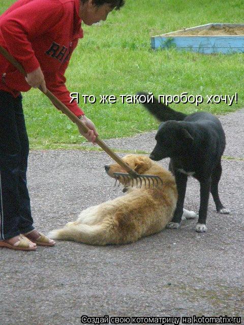 Котоматрица: Я то же такой пробор хочу!
