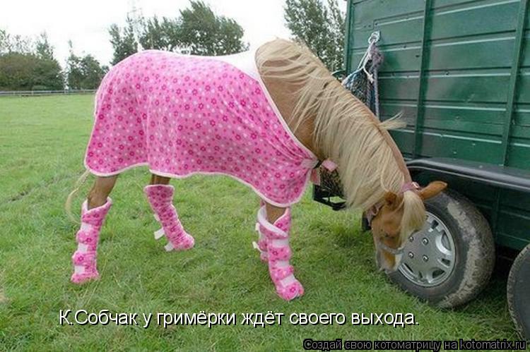 Котоматрица: К.Собчак у гримёрки ждёт своего выхода.