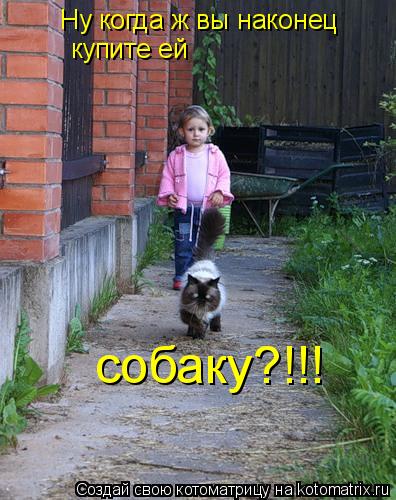 Котоматрица: Ну когда ж вы наконец  купите ей собаку?!!!