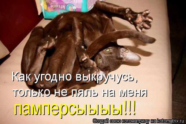 Котоматрица: Как угодно выкручусь, только не пяль на меня памперсыыыы!!!
