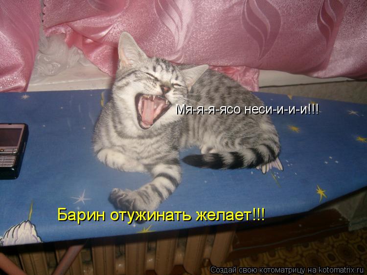Котоматрица: Мя-я-я-ясо неси-и-и-и!!! Барин отужинать желает!!!