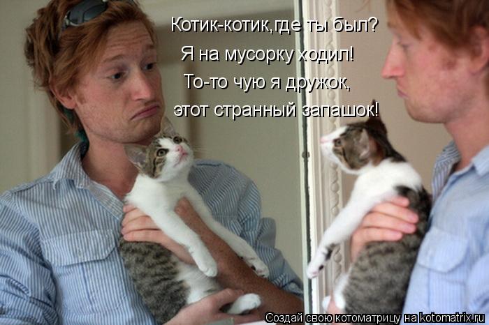 Котоматрица: Котик-котик,где ты был? Я на мусорку ходил! То-то чую я дружок, этот странный запашок!