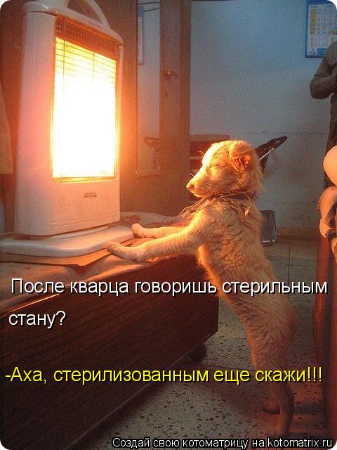 Котоматрица: После кварца говоришь стерильным  стану? -Аха, стерилизованным еще скажи!!!