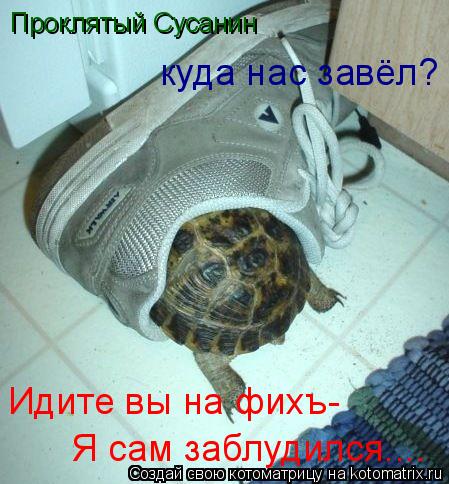 Котоматрица: Проклятый Сусанин куда нас завёл? Идите вы на фихъ- Я сам заблудился....