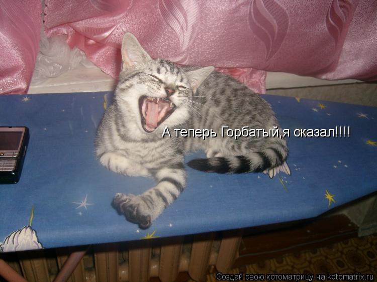 Котоматрица: А теперь Горбатый,я сказал!!!!