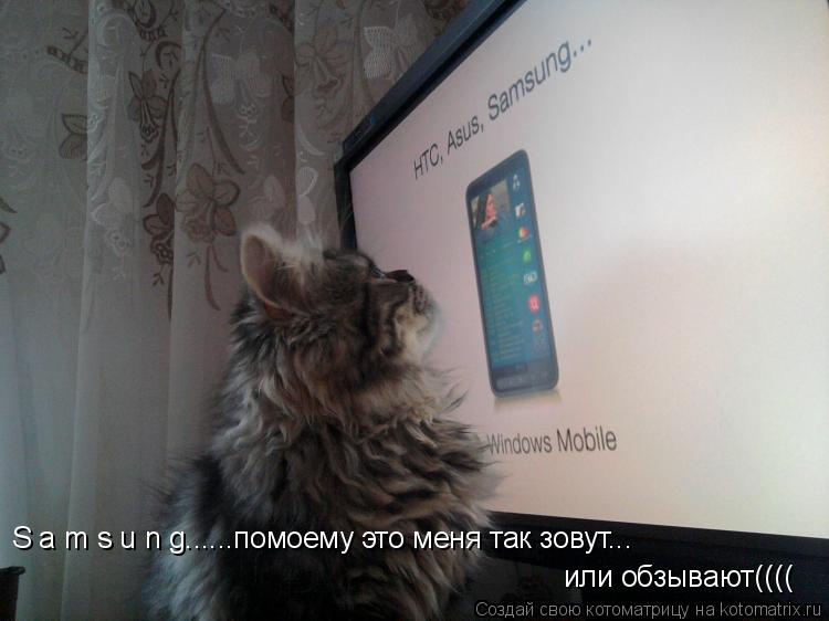 Котоматрица: S a m s u n g......помоему это меня так зовут... или обзывают((((